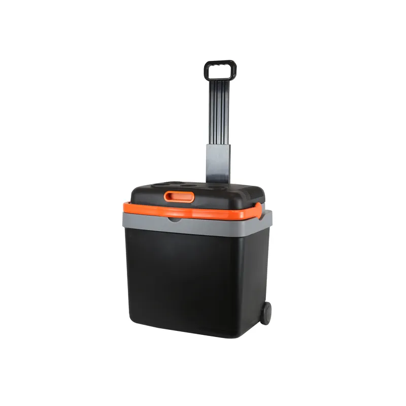 Wine Beer Dual Zone - 33L 휴대용 전기 자동차용 냉장고, 12V